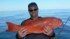 Jason & Onslow Coral Trout